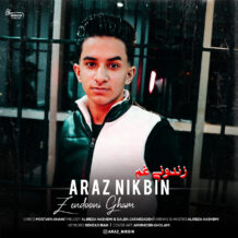 آهنگ جدید آراز نیک بین به نام زندونی غم